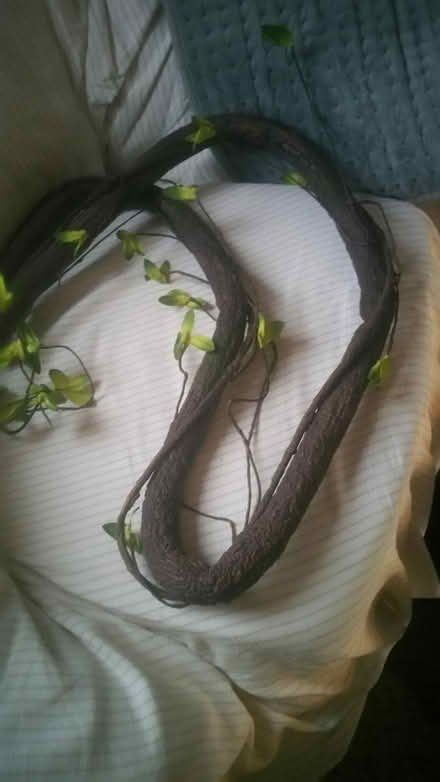 Photo of free 2 Imitation soft branches (southey green S5) #1