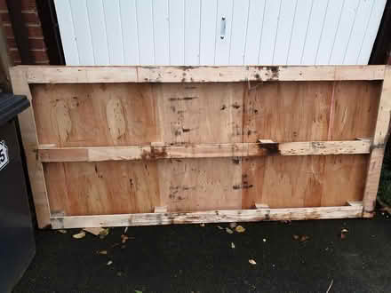 Photo of free Pallet (St Leonards-on-sea TN38) #3