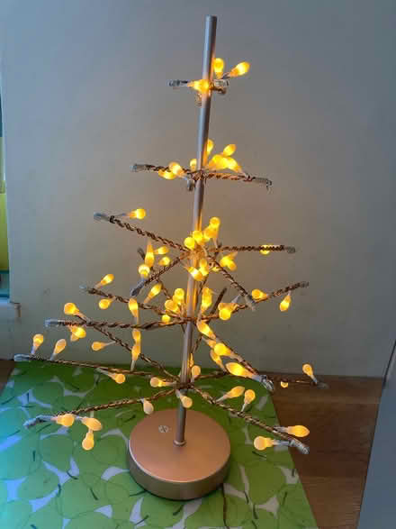 Photo of free Small Decorative Habitat Tree (Wimbledon Village SW19) #2