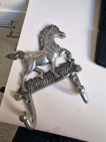 Photo of free WALL HOOKS in horse shape! (St Leonards TN38) #1