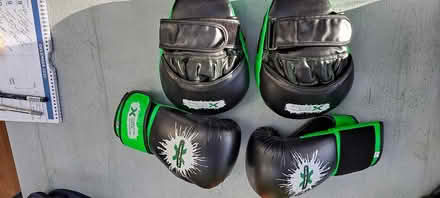 Photo of free Martial Arts Gloves and pads Adults (COP YO23) #1
