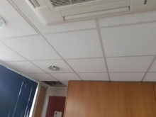 Photo of free Estimated 200 x Ceiling Tiles (Baden Powell Primary School) #2