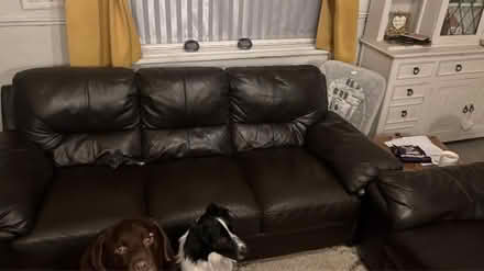 Photo of free 2 and 3 seater brown leather sofas (Dolwyddelan LL25) #1