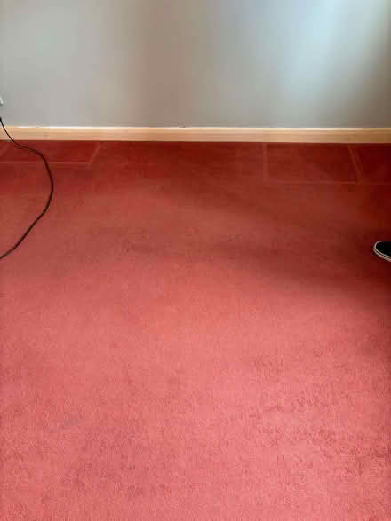 Photo of free Carpet (DA2) #4