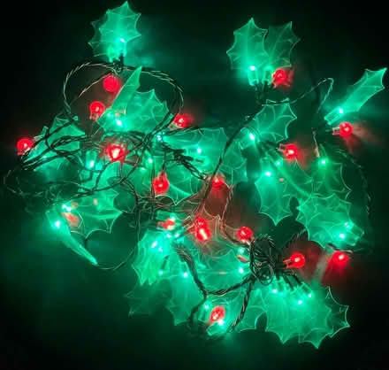 Photo of free Indoor Christmas lights (Ravenscourt Park W6) #1
