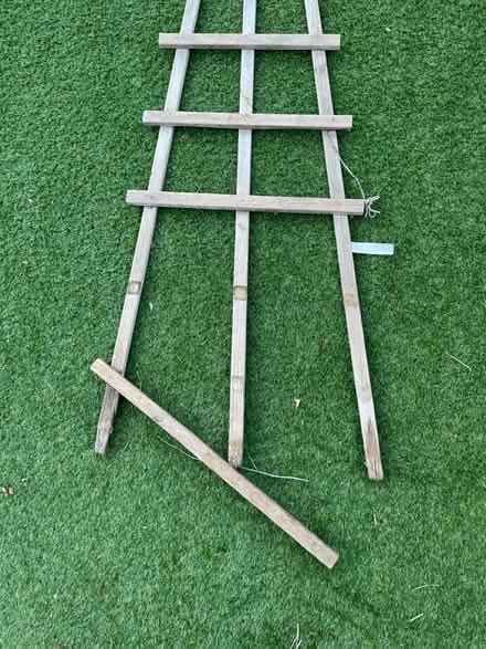 Photo of free Trellis (Dore, S17) #3