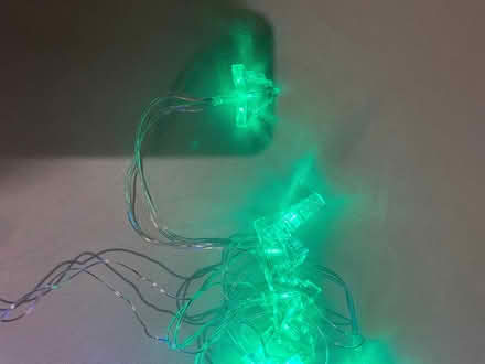 Photo of free Christmas Lights- reindeer shape and tree shaped (Canonbury N1) #3