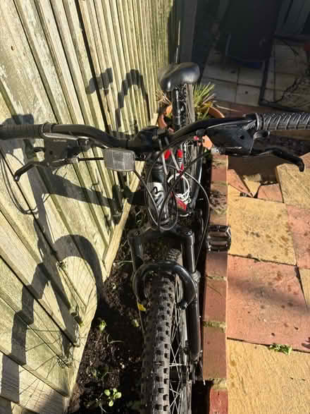 Photo of free Boys mountain bike (Hollingdean BN1) #4