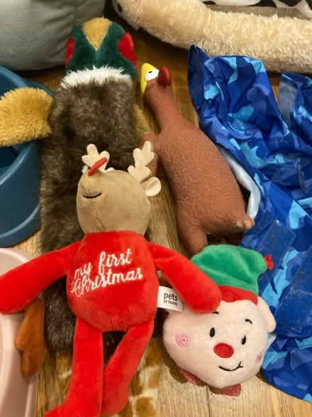 Photo of free Small Puppy/cat beds + other stuff (CR5 Coulsdon) #4