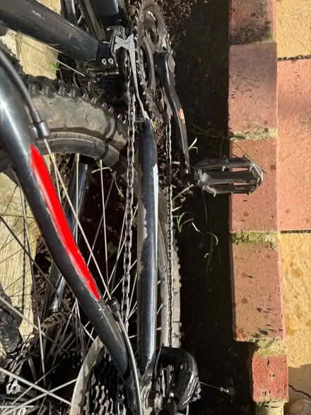 Photo of free Boys mountain bike (Hollingdean BN1) #1