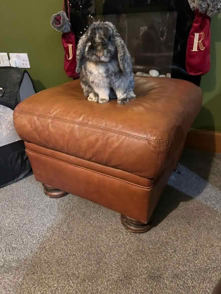 Photo of free Foot stool/pouffe (Arnold ng5) #1