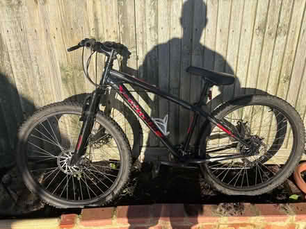 Photo of free Boys mountain bike (Hollingdean BN1) #2