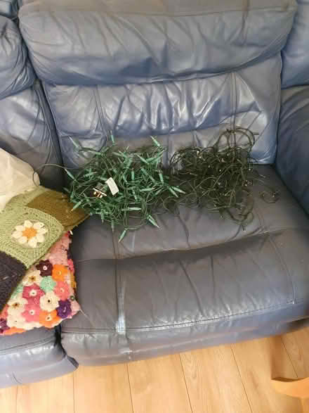 Photo of free Christmas lights (Welling DA16) #1