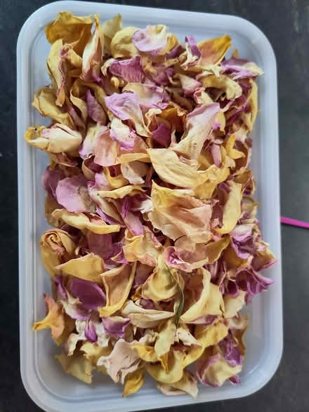 Photo of free Small container of home-made rose petal confetti. (Berkhamsted HP4) #1