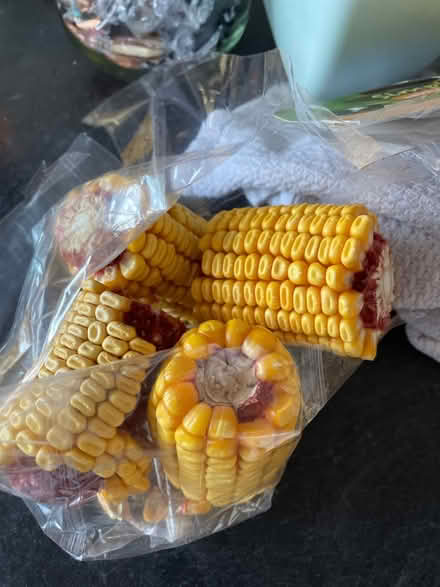 Photo of free Sun-ripened Corn (Fareham central PO16) #1