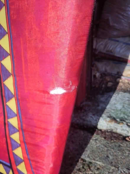 Photo of free Body board (Hampton) #2