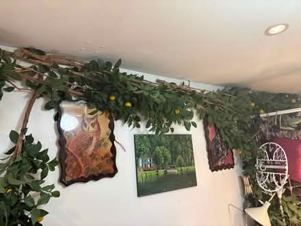 Photo of free Fake lemon branches (Rego Park Queens) #2