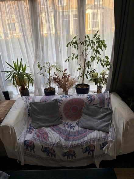 Photo of free White sofa (Shacklewell E8) #1