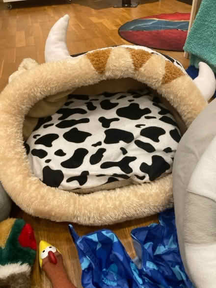 Photo of free Small Puppy/cat beds + other stuff (CR5 Coulsdon) #3