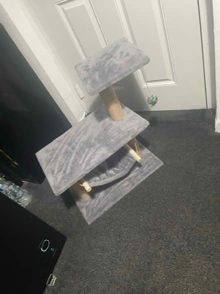 Photo of free Cat post (Morden SM4) #1