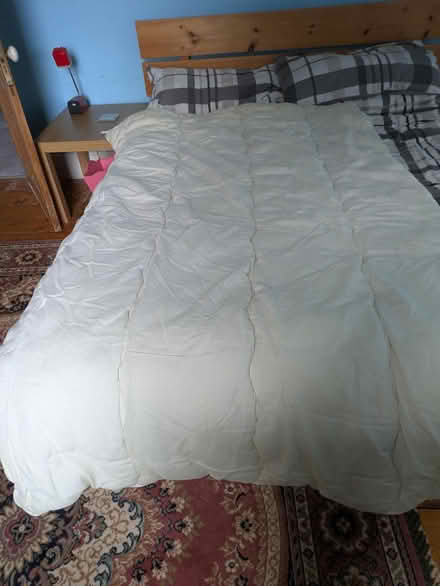 Photo of free Two Single Duvets (BS16) #1