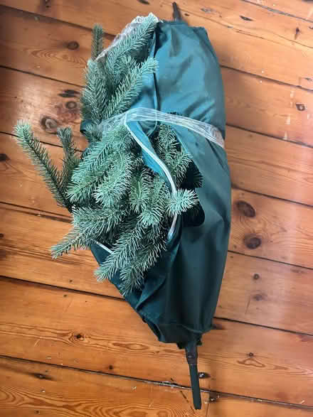 Photo of free Christmas Tree (Kilgobbin Road) #2