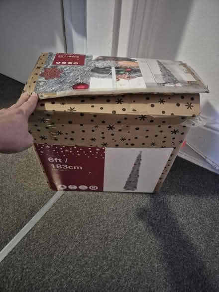 Photo of free Christmas tree (Blackheath, SE13) #3