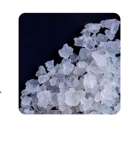 Photo of Water kefir grains (Newark NG24) #1