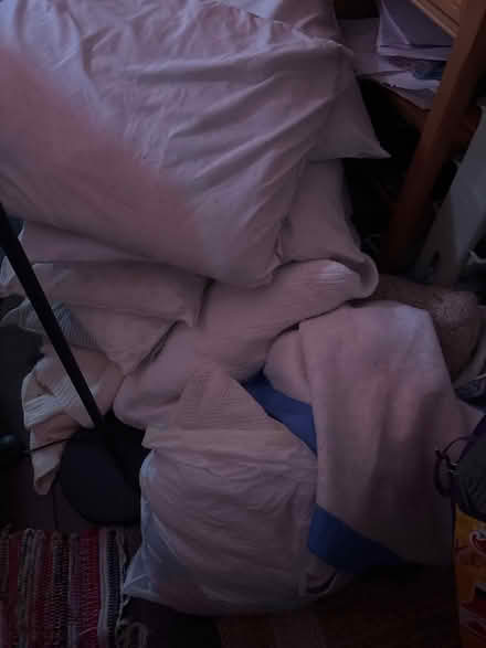 Photo of free blankets/ small metal shelves (NW DC) #3