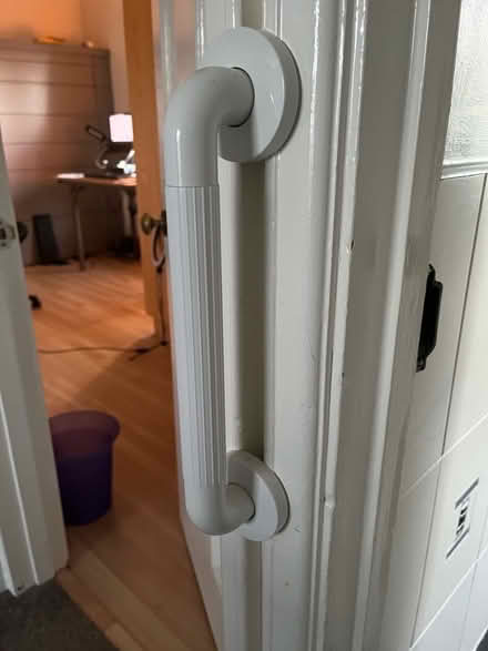 Photo of free Raised Toilet seat plus grip handle (Garsington OX44) #1