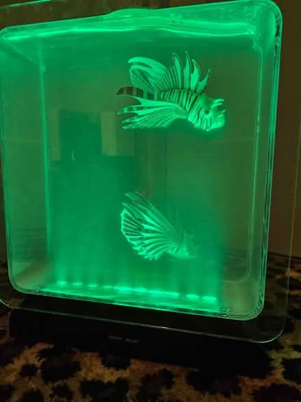 Photo of free Fake lionfish in a tank (BS5) #1