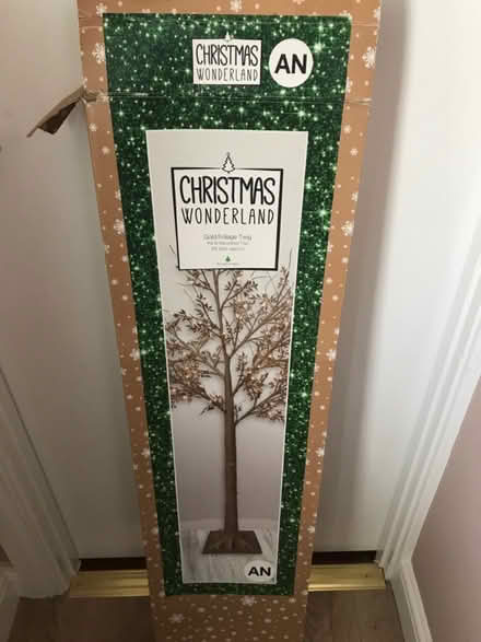 Photo of free Gold twig tree (Bedford (putnoe)) #1