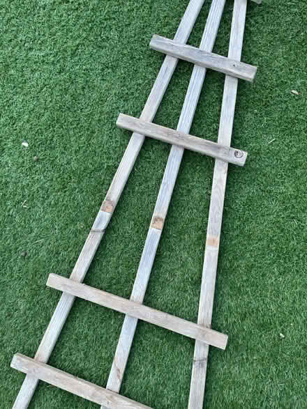 Photo of free Trellis (Dore, S17) #2