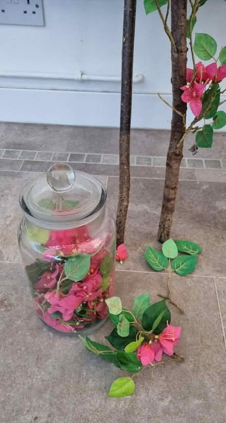 Photo of free Indoor artificial Bougainvillaea vine (Emerson Valley MK4) #2