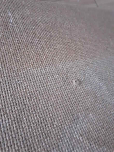 Photo of free 4 pieces of wood like sheets (Handsworth B21) #1