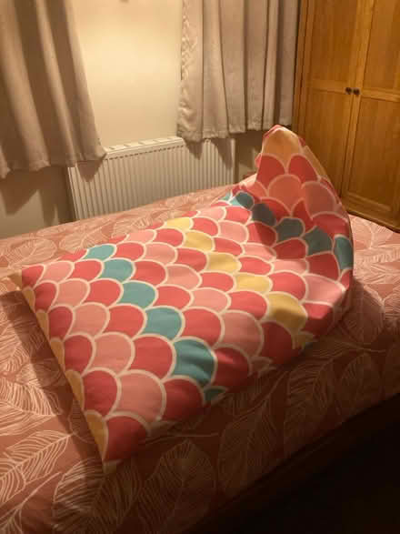 Photo of free Pink Bean bag (Great Horkesley CO6) #1