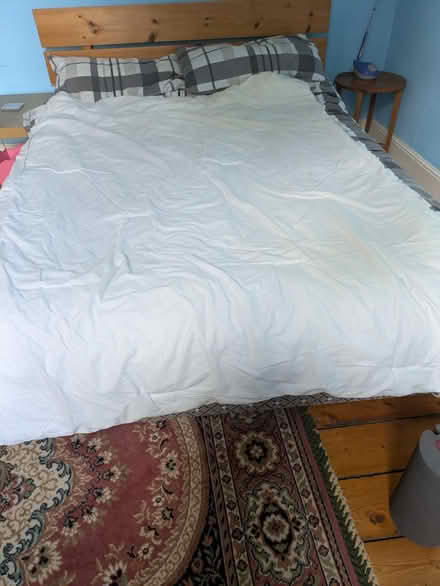 Photo of free Two Single Duvets (BS16) #3