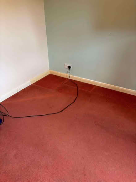 Photo of free Carpet (DA2) #3
