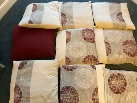 Photo of free 9 cushions (Bexhill TN39) #1