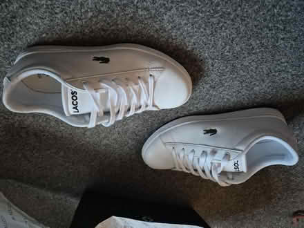 Photo of free Lacoste trainers size 4 (Blackheath, SE13) #2