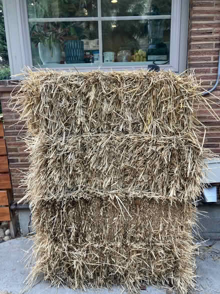 Photo of free Hay Bales (for manger/compost/pets) (Magnolia) #1