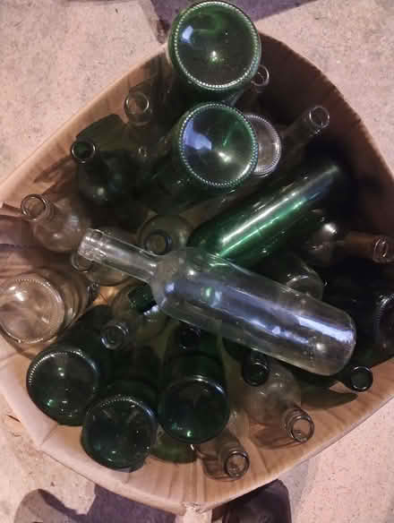 Photo of free Wine bottles for winemaking (Pudsey LS28) #1