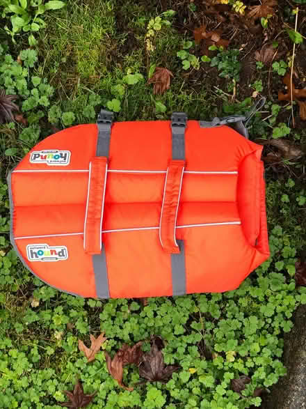 Photo of free Dog Flotation Vest (Aurora (N Seattle/ Shoreline)) #1