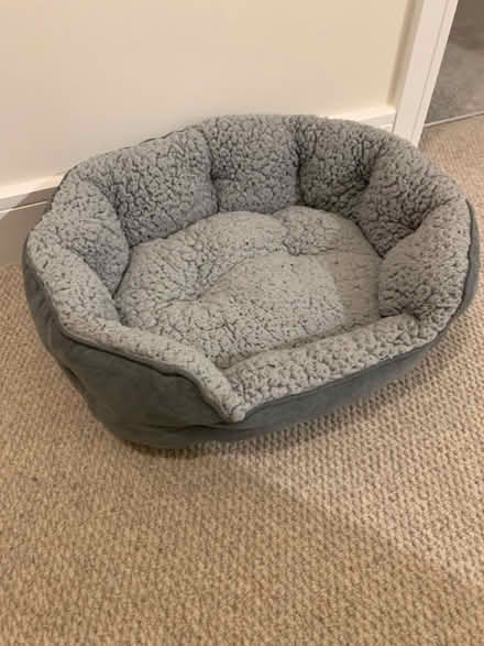 Photo of free Small Dog bed (Maidstone ME14) #1