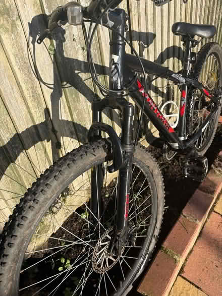 Photo of free Boys mountain bike (Hollingdean BN1) #3
