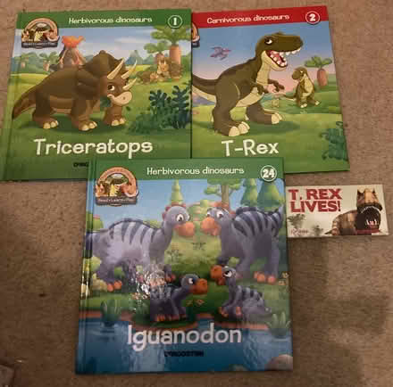 Photo of free Children’s books (Kilbarchan) #2