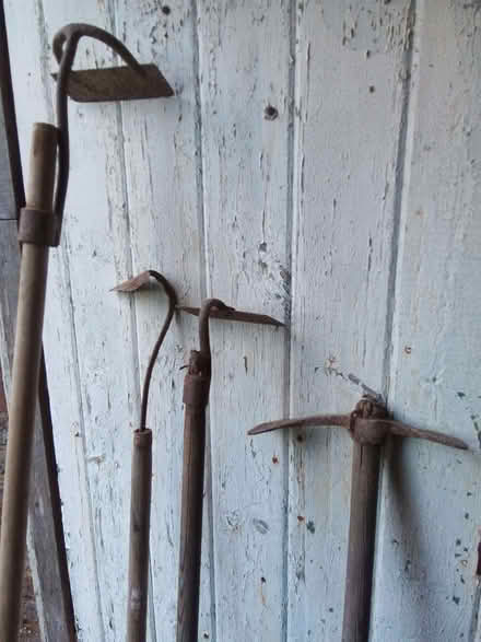 Photo of free Vintage Garden Hoes (Whitemans Green RH17) #2