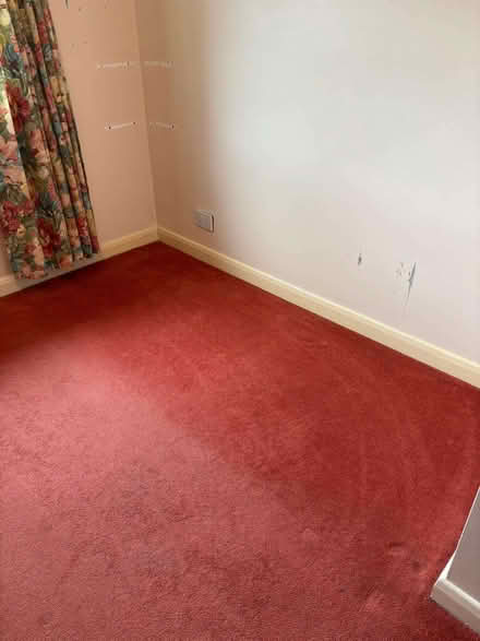 Photo of free Carpet (DA2) #1