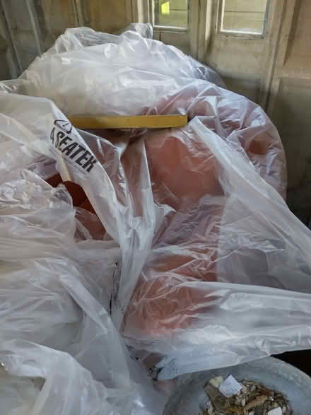 Photo of free Reddish brown sifa (Chichester PO19) #2