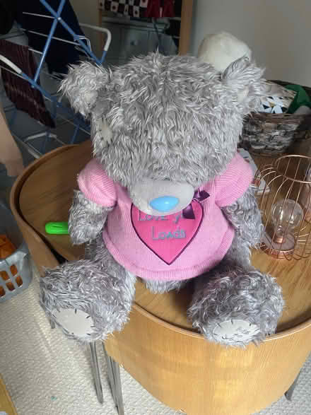 Photo of free Me to you bear (Kenilworth CV8) #1